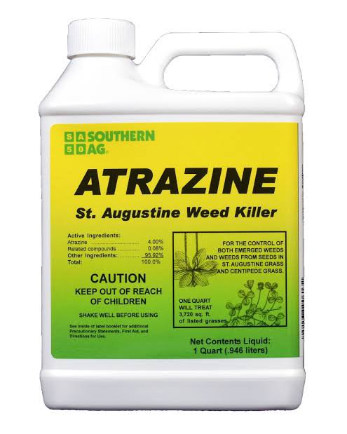 Atrazine in American Water: Could It Be in Ours Too? cover