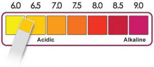 Alkaline Diet 101: Is an orange alkaline?